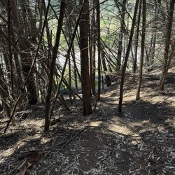 Haskell's Beach