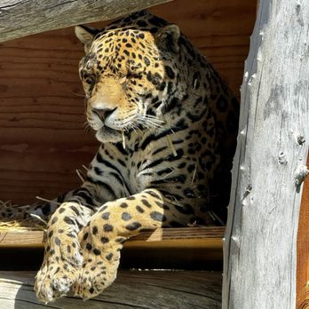Animal Ark - Zoos Near Me - Reno, Nevada