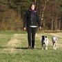 Photo of EinBraverHund