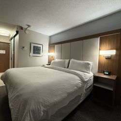 Holiday Inn Express Boston-Waltham - Guest room with King size bed