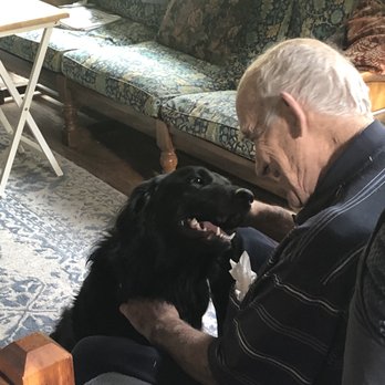 The Dog Sensei - Callie is now able to calm and be loved by my 84yo uncle! - Pet Training Near Me - Tacoma, Washington The Dog Sensei - Callie is now able to calm and be loved by my 84yo uncle! - Pet Training Near Me - Tacoma, Washington