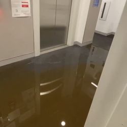 The New School - The 19th floor of our dorm got completely flooded and there's a massive puddle of brown sewage water just sitting there in the hallway.