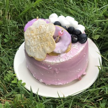 Dog Eat Cake - Bakeries Near Me - Boston, Massachusetts