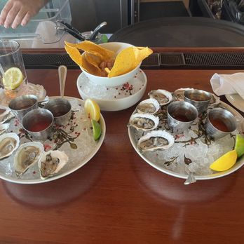 Marker 88 - Oysters and ceviche - Seafood Near Me - Islamorada, Florida Marker 88 - Oysters and ceviche - Seafood Near Me - Islamorada, Florida