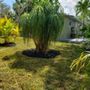 Soflo Irrigation