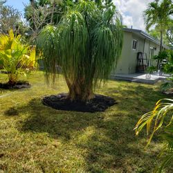 Soflo Irrigation
