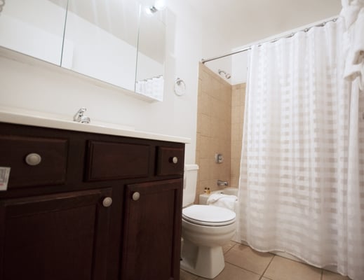 Millennium Park Plaza by null