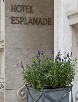 Hotel Villa Esplanade by null