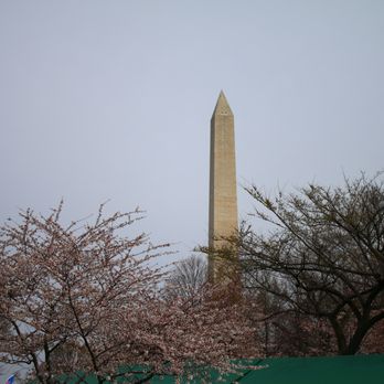 Tidal Basin - Lakes Near Me - Washington, DC, District of Columbia Tidal Basin - Lakes Near Me - Washington, DC, District of Columbia