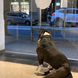 Bros Barber BCN - Esperando a ponerse guapo