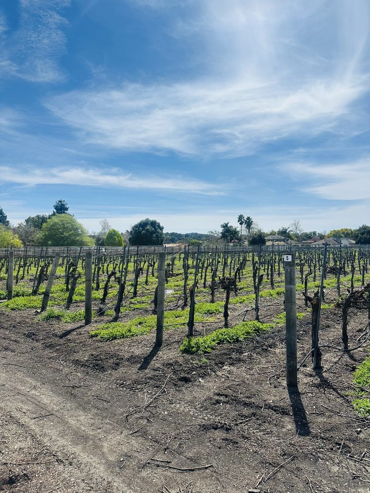 Piedra Creek Winery Logo