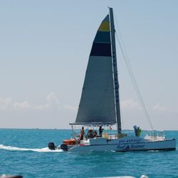 Reef Roamer Catamaran Snorkel Sail - Our expert crew loves teaching beginners how to confidently explore underwater worlds.