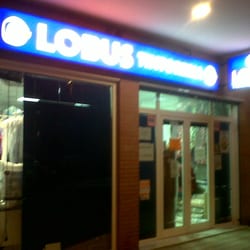 Lobus