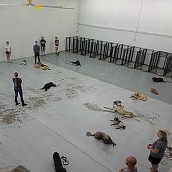 Pawlished Dog Training - Pet Training Near Me - Mentor, Kentucky