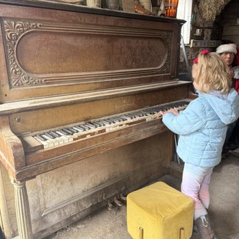 Town of Oatman - Local Flavor Near Me