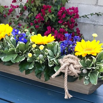 Dannhiflowers - Florists Near Me - San Gabriel, California Dannhiflowers - Florists Near Me - San Gabriel, California