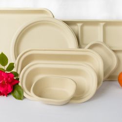 ReLeaf Solutions - Made from pure sugar cane fiber, toxin free and sturdy.100% biodegradable. Perfect for Cafeterias, movie theatres, restaurants & restobars.