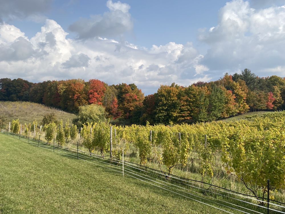 WATERFIRE VINEYARDS TORCH LAKE Updated July 2024 51 Photos & 24