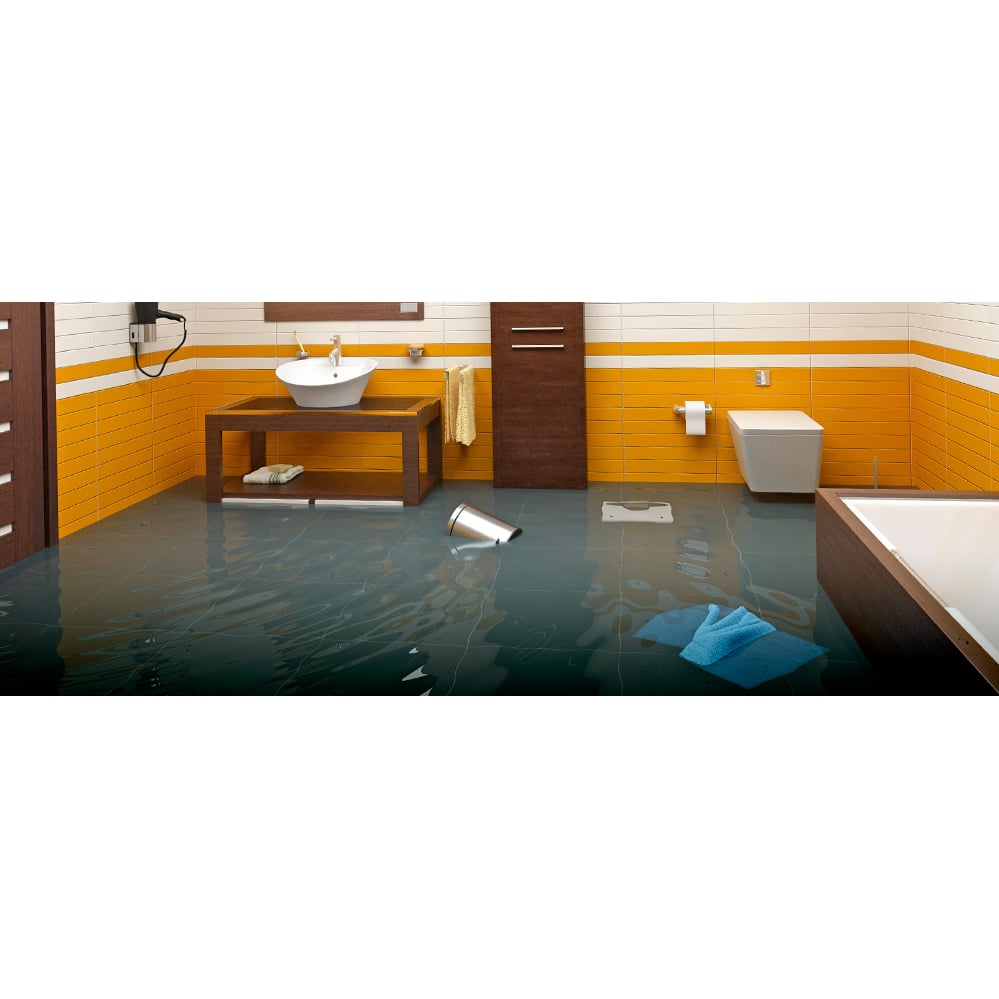 Slide of Pro Restoration Solutions