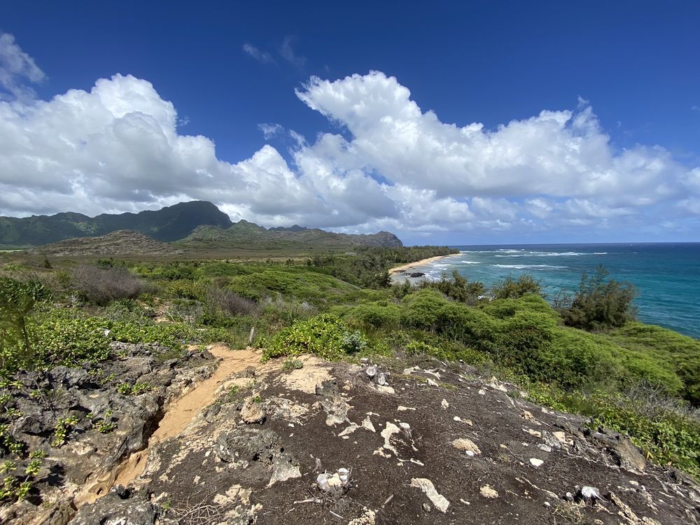 MAKAUWAHI CAVE RESERVE 218 Photos & 48 Reviews Kalaheo, HI Yelp