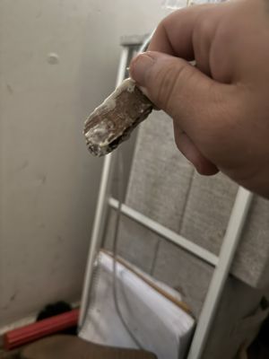 Antigua Bread by null