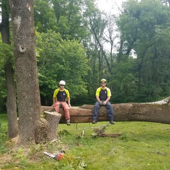 Arbor Artist - Gary and TJ. - Tree Services Near Me - Leesburg, Virginia Arbor Artist - Gary and TJ. - Tree Services Near Me - Leesburg, Virginia