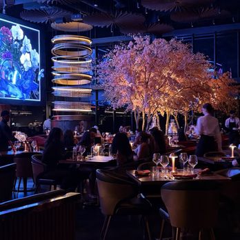 Three Thirty Three - Steakhouses Near Me - Tempe, Arizona Three Thirty Three - Steakhouses Near Me - Tempe, Arizona