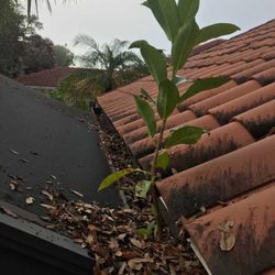 Gutter Sweeps - Gutter Cleaning, Before