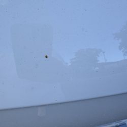 Classic Car Wash - Bird or tree crap.