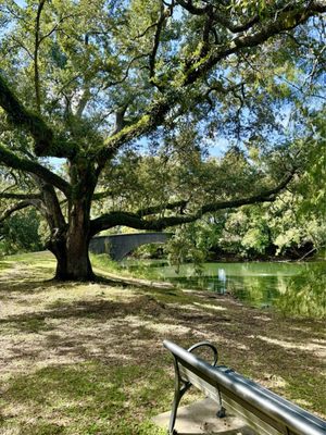 Audubon Park Loop by null