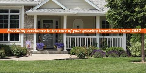 Mr Amoto Lawn & Tree Service - tree service in Lincoln, NE