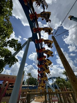 Busch Gardens Tampa Bay by null