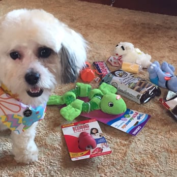 The Dog House - Pet Groomers Near Me - Audubon, New Jersey