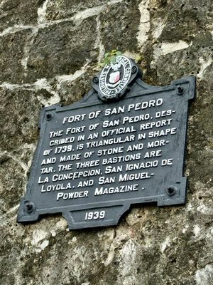 Fort San Pedro by null