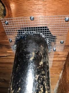 Rodent Exclusion Residential and Commercial - Rodents can access all structures. When you see them outside that's the time to call. We do have exterior services. We hear so many callers say, " I only see 1. " Not possible, rodents are communal there is always more than 1.
Rodents use wall voids, plumbing lines to travel from crawlspace to interior, or to attic. Call now for proactive Or reactive solutions. Rodent Exclusion Residential and Commercial - Rodents can access all structures. When you see them outside that's the time to call. We do have exterior services. We hear so many callers say, " I only see 1. " Not possible, rodents are communal there is always more than 1.
Rodents use wall voids, plumbing lines to travel from crawlspace to interior, or to attic. Call now for proactive Or reactive solutions.
