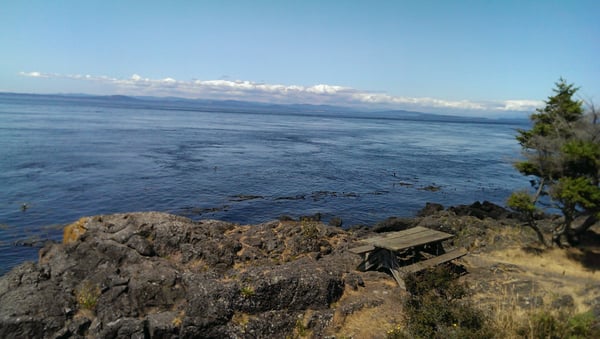 Lime Kiln Point State Park by null