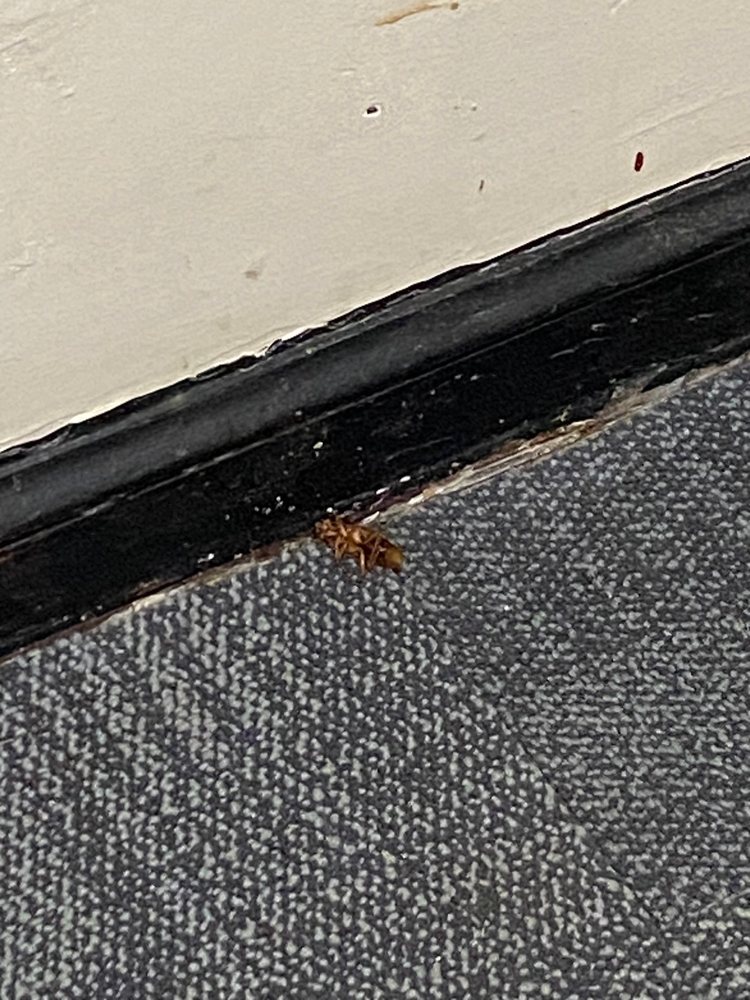 Thos D Walsh - property management company in Washington, DC, DC