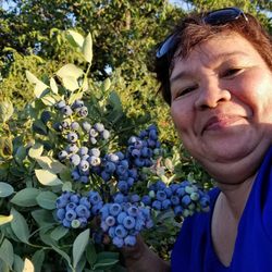 Rancho Notso Grande - My mom went crazy over these blueberries!