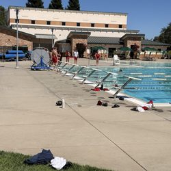 Rowdy immature lifeguards