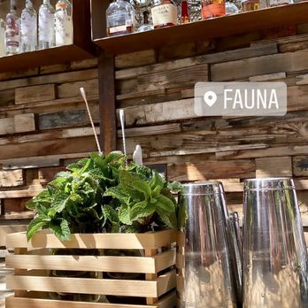 Fauna - Bar area - super cute! - Mexican Near Me - Guadalupe, BCN