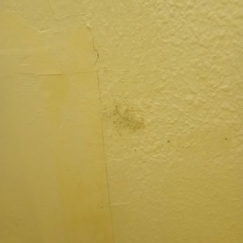 Sandyland Reef Inn - More mold in the shower - Hotels Near Me - Carpinteria, California