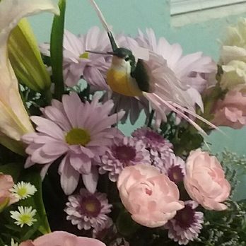 Crevasse's Florist - Florists Near Me - Gainesville, Florida Crevasse's Florist - Florists Near Me - Gainesville, Florida