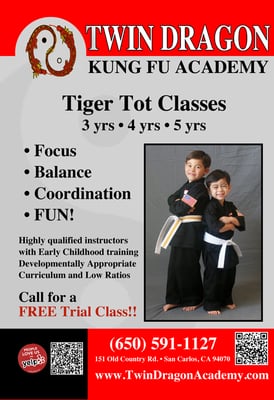 Twin Dragon Kung Fu Academy, Inc. by null
