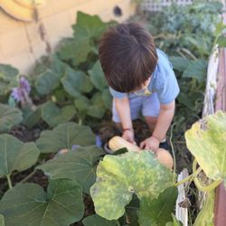 Sierra Preschool & After School - Found a squash !!