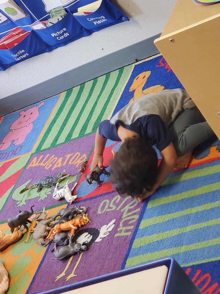 Petite Academy - childcare center in Shoreline, WA