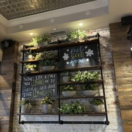Plant wall fixture Plant wall fixture