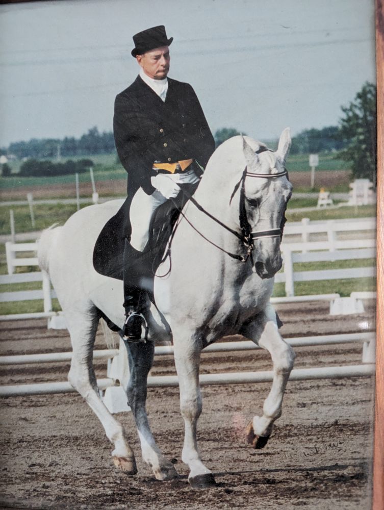 Brandywine Farm - equestrian in Hamel, MN