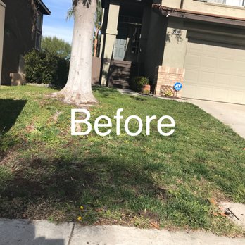 Coronado Turf - Artificial Turf Near Me