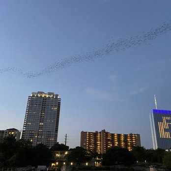 Capital Cruises - Boat Charters Near Me - Austin, Texas