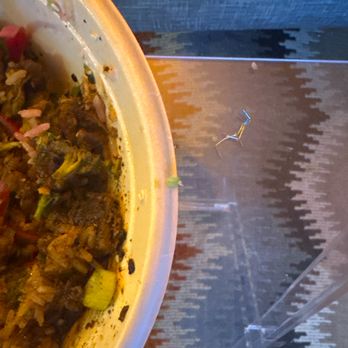 moonbowls - Gluten-Free Near Me - Denver, Colorado moonbowls - Gluten-Free Near Me - Denver, Colorado